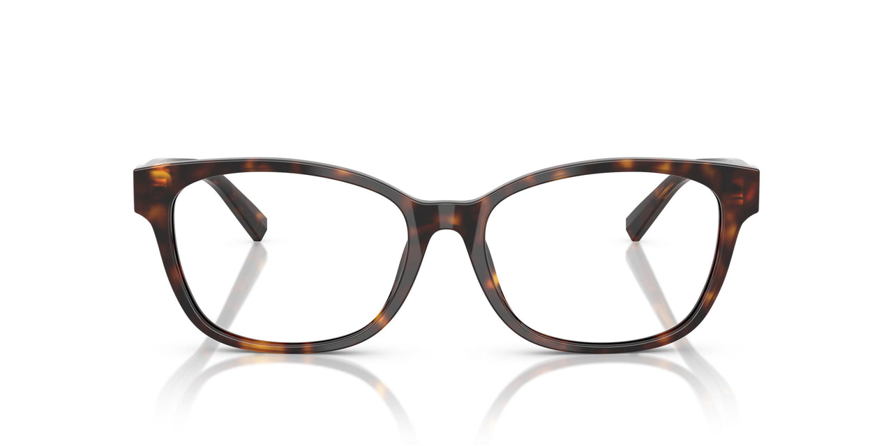 8015 - Tortoise