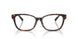 8015 - Tortoise