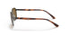 121/BB - Light Brown - Brown