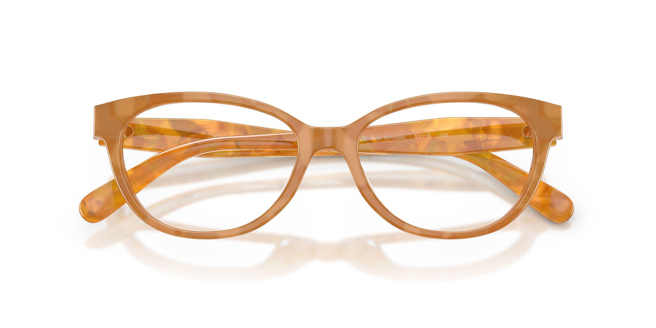 5939 - Tortoise