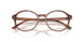 6162 - Tortoise