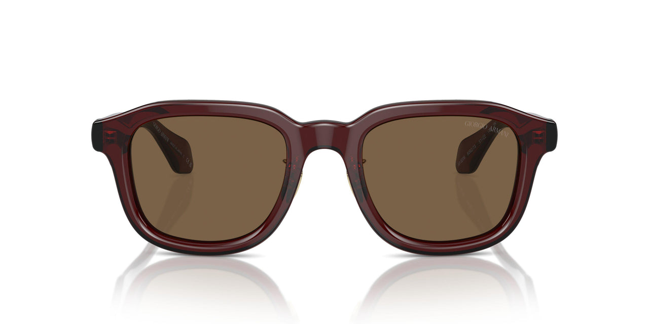 606273 - Brown - Dark Brown