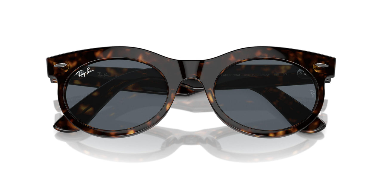 902/R5 - Tortoise - Blue