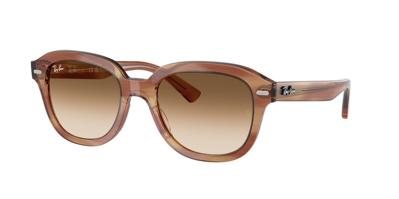 Ray-Ban Erik 4398 Sunglasses