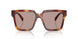 22A20I - Tortoise - Light Purple Brown