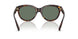 80153H - Tortoise - Dark Green
