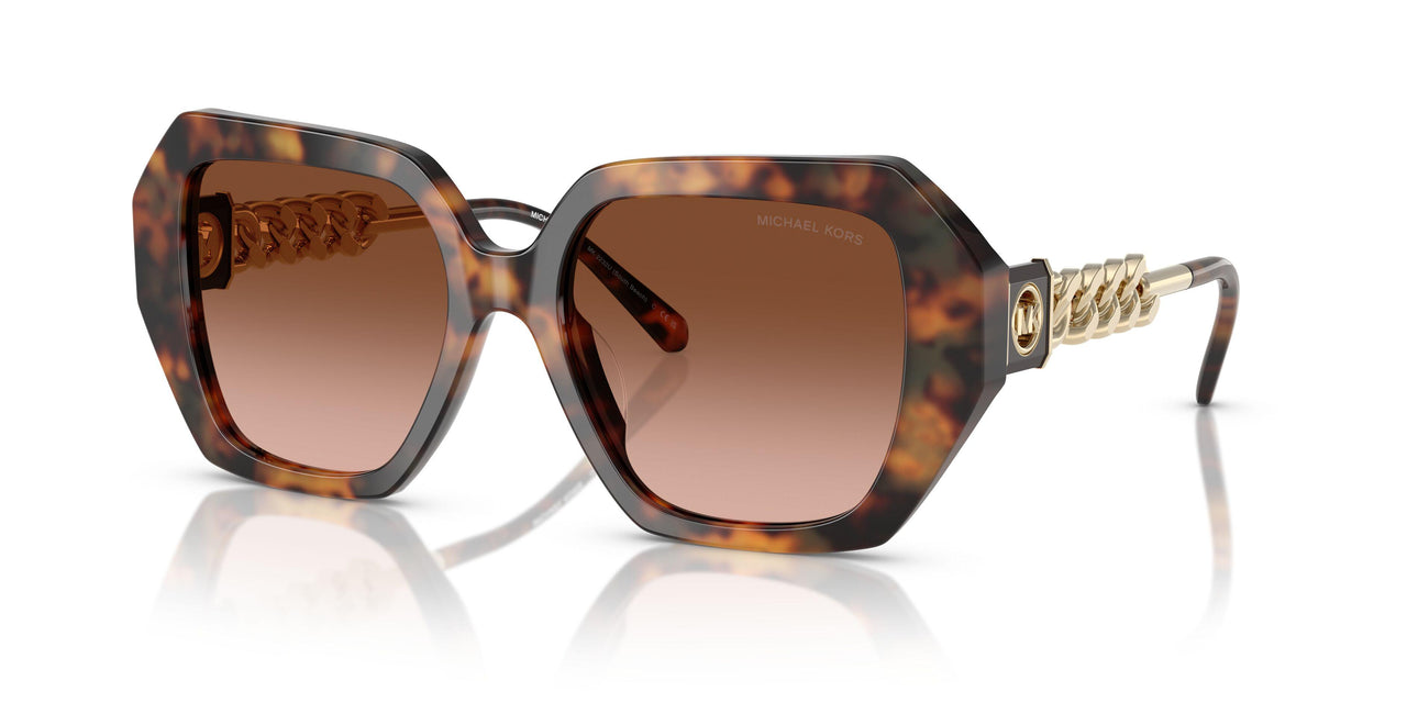 39043B - Tortoise - Brown Gradient