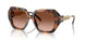 39043B - Tortoise - Brown Gradient