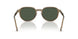 32939A - Brown - Dark Green Polar