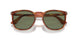 96/GJ - Brown - Transitions 8 Green