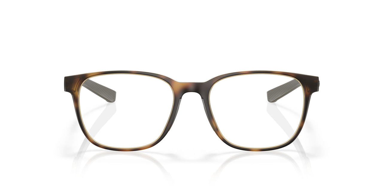 802202 - Tortoise