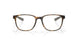 802202 - Tortoise