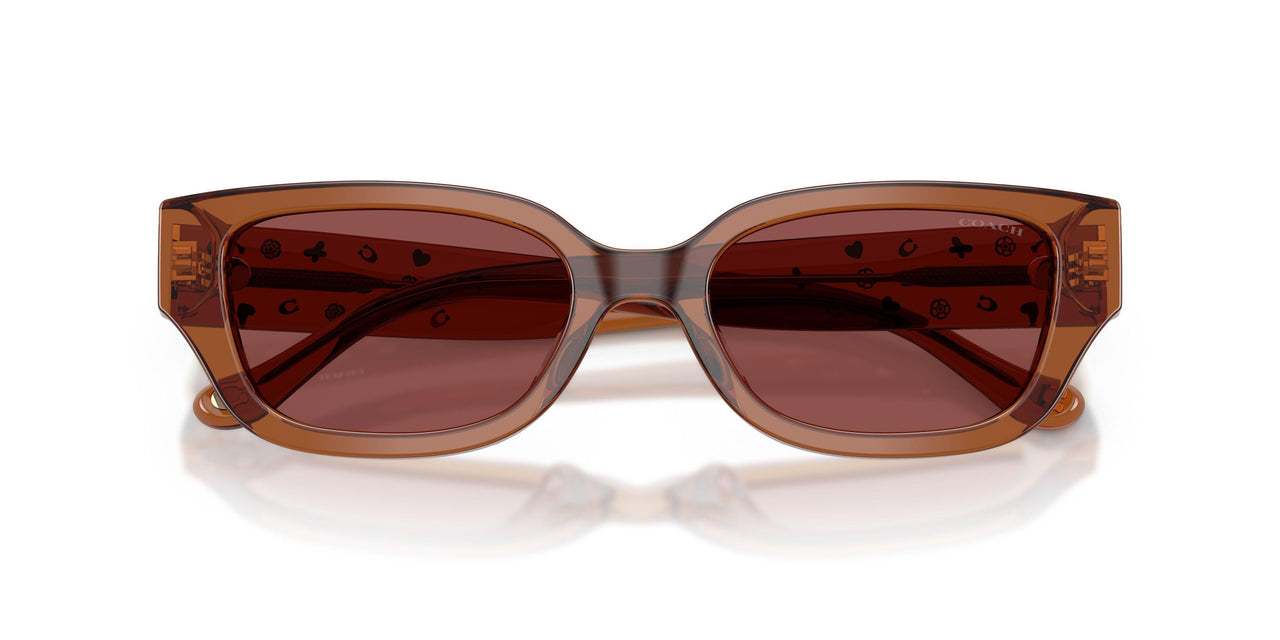 581175 - Brown - Wine Solid