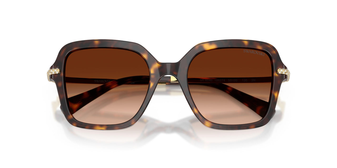 100274 - Tortoise - Gradient Brown