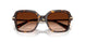 100274 - Tortoise - Gradient Brown