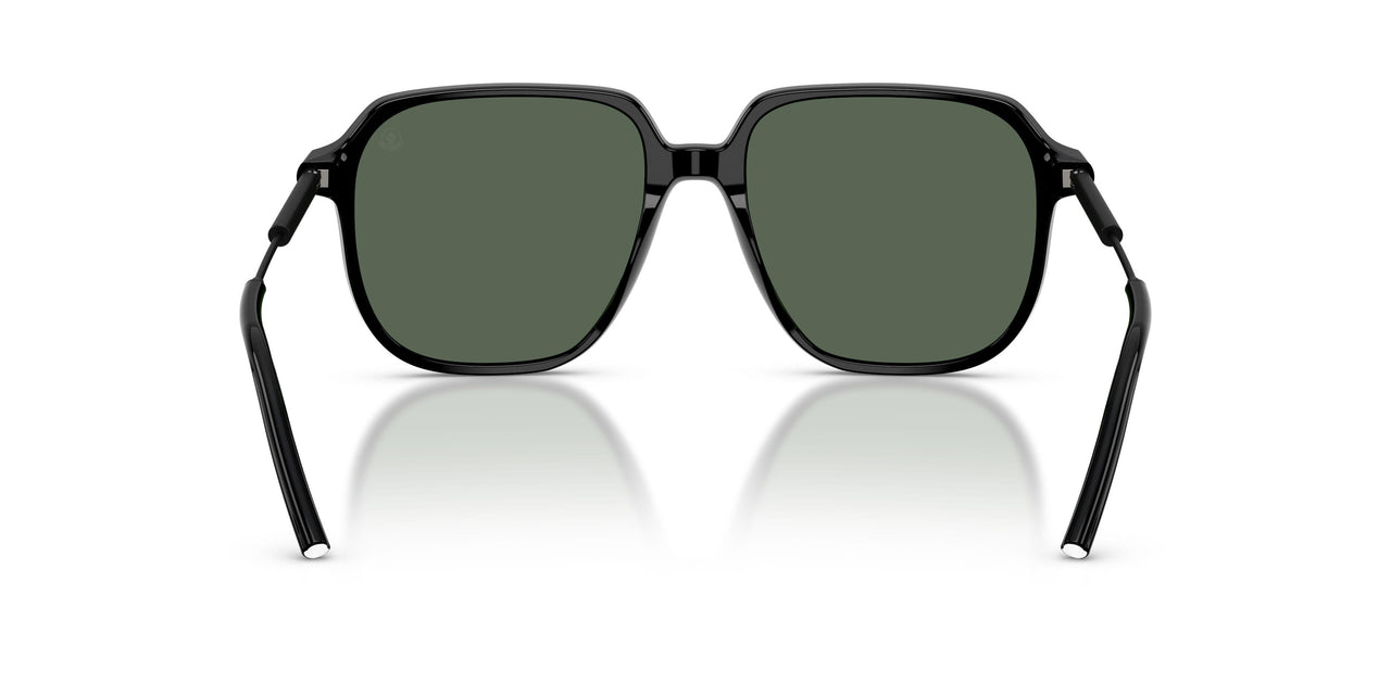 300171 - Black - Dark Green Solid