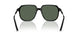 300171 - Black - Dark Green Solid