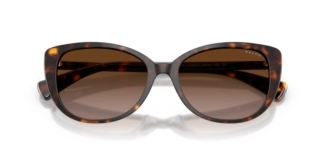 500313 - Tortoise - Gradient Brown