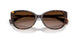 500313 - Tortoise - Gradient Brown