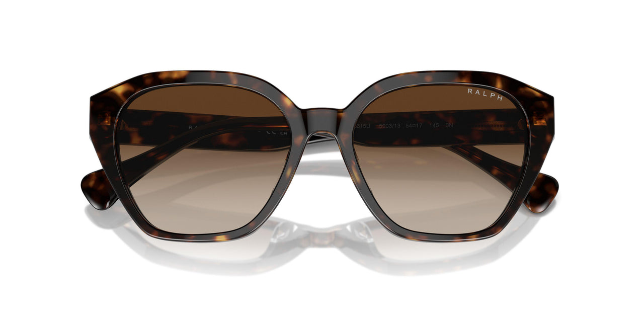 500313 - Brown - Gradient Brown