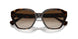 500313 - Brown - Gradient Brown