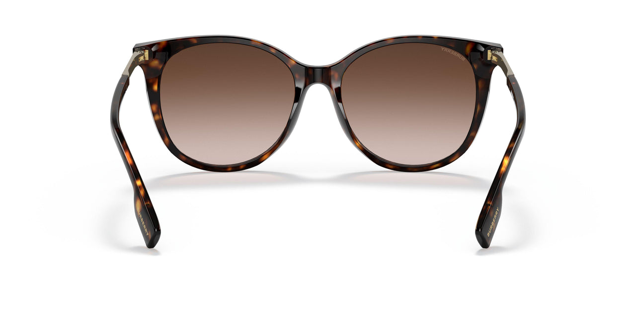300213 - Havana - Brown Gradient