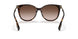 300213 - Havana - Brown Gradient