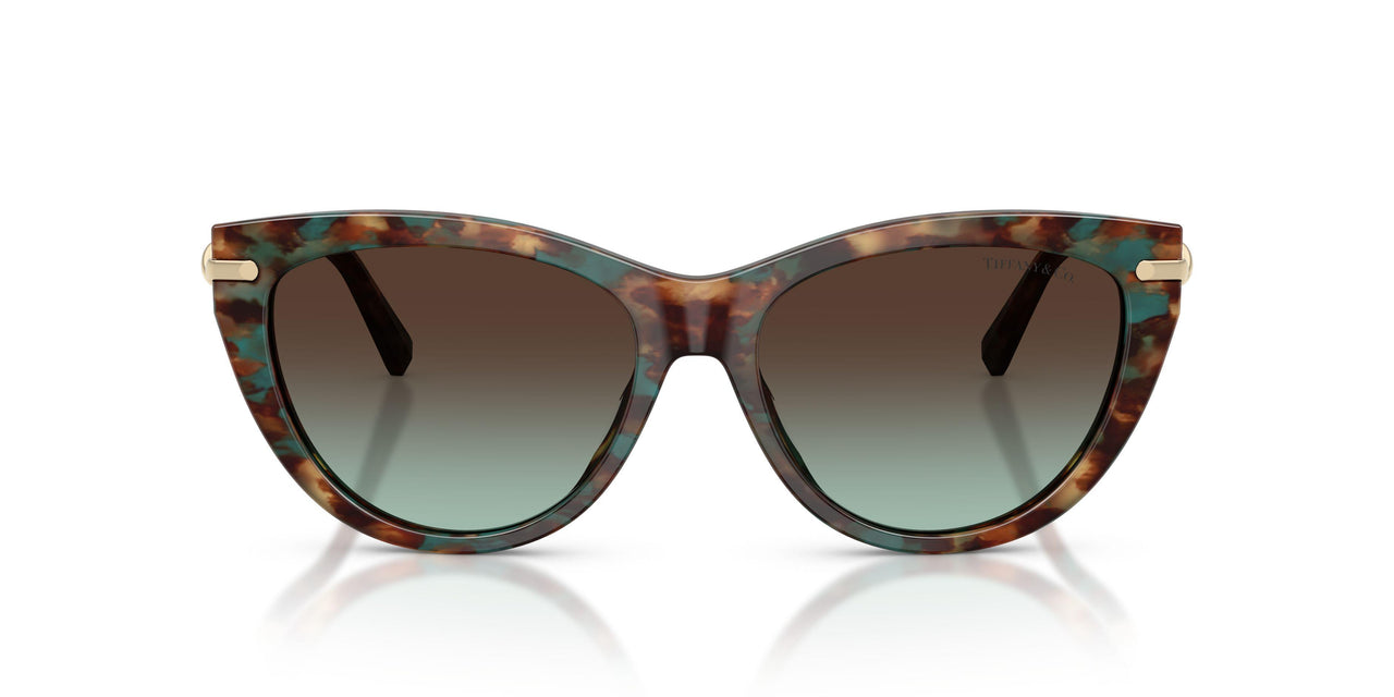 84425D - Tortoise - Azure Gradient Brown
