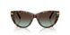 84425D - Tortoise - Azure Gradient Brown