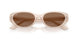 678673 - Brown - Dark Brown