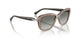 294011 - Brown - Gradient Grey