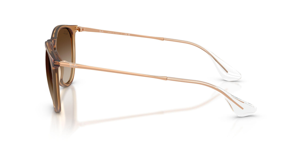 681413 - Brown - Gradient Brown