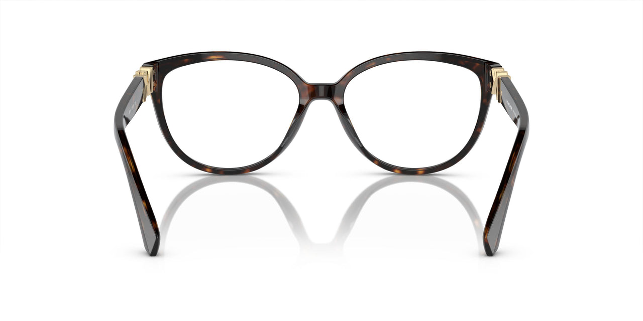 3953 - Amazon Green Tortoise