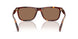 593813 - Tortoise - Brown Solid