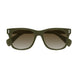 003 - Green - Brown