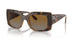 2386T5 - Havana - Polar Grey Gradient Brown