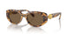 104073 - Tortoise - Dark Brown