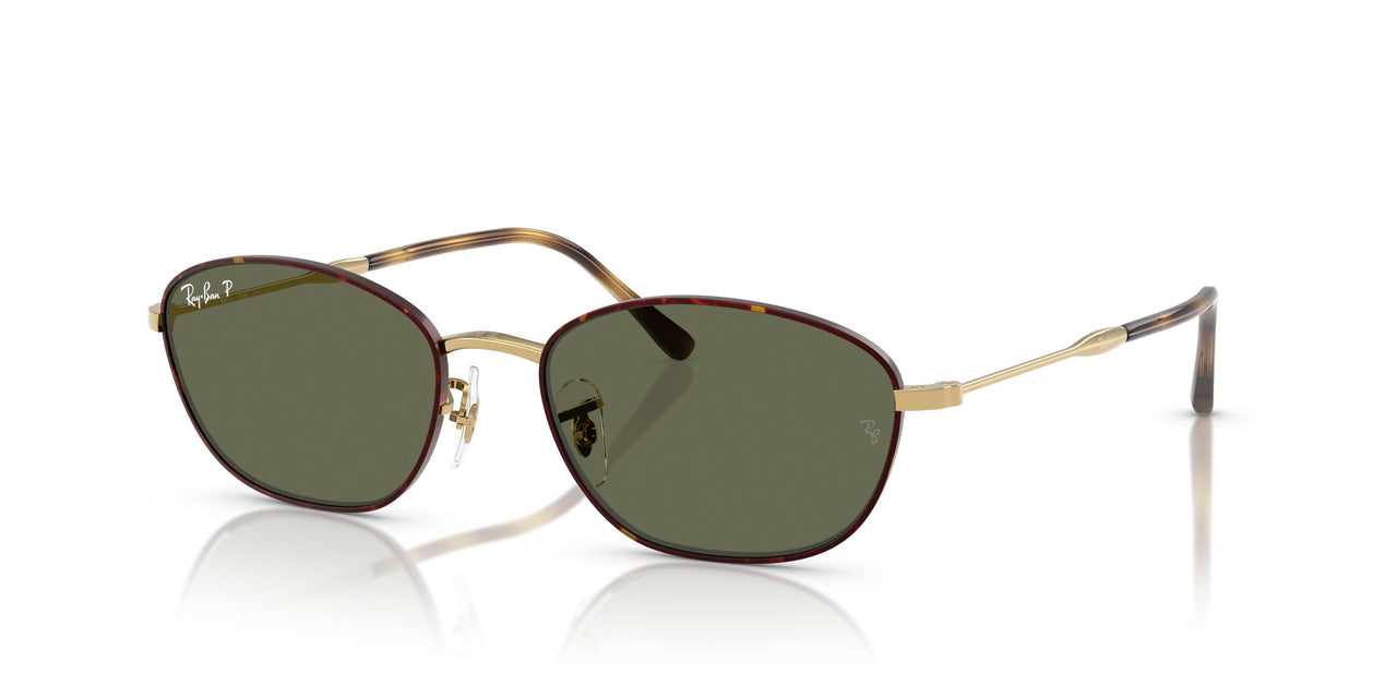 927358 - Tortoise - G-15 Green