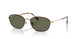 927358 - Tortoise - G-15 Green