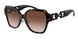 502613 - Tortoise - Gradient Brown