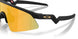 901513 - Black - Prizm 24k