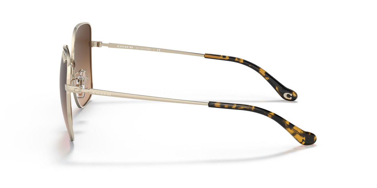 900574 - Gold - Dark Brown Gradient