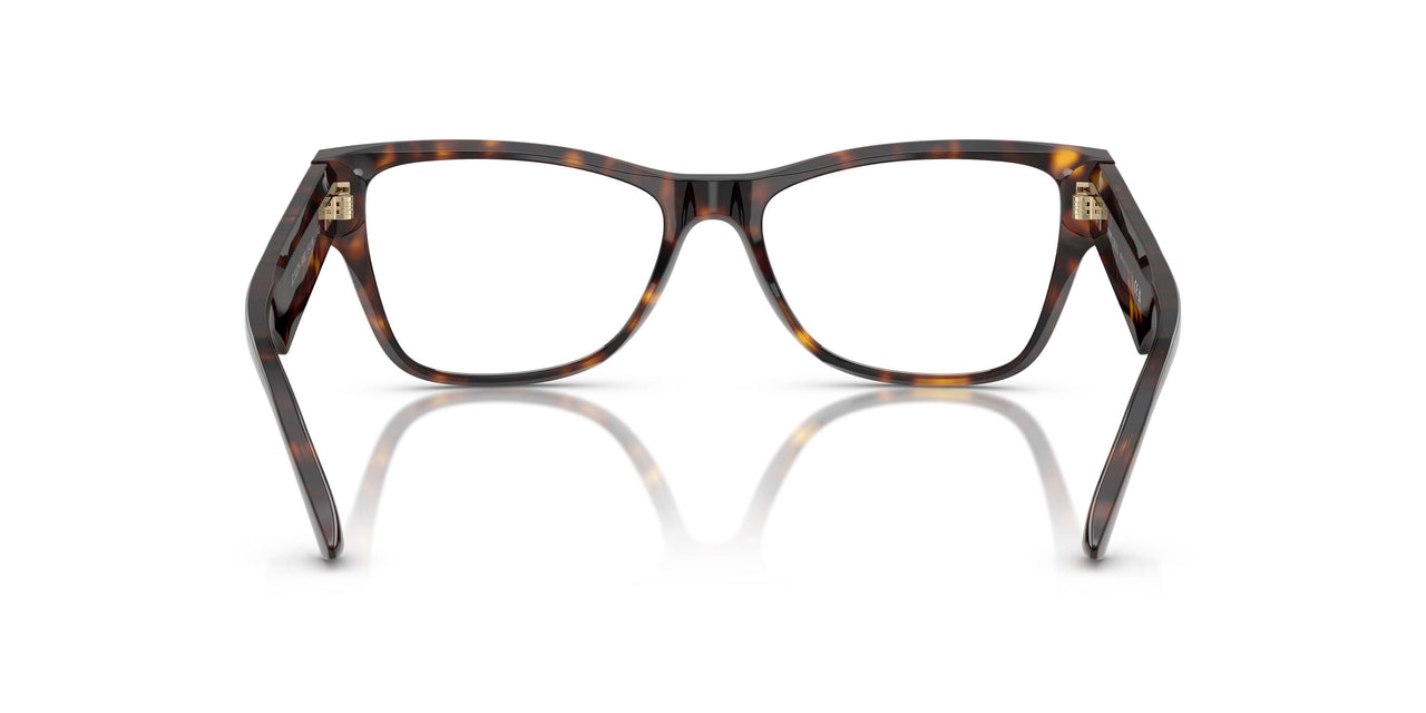 5002 - Tortoise