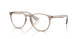 8507 - Brown - Clear