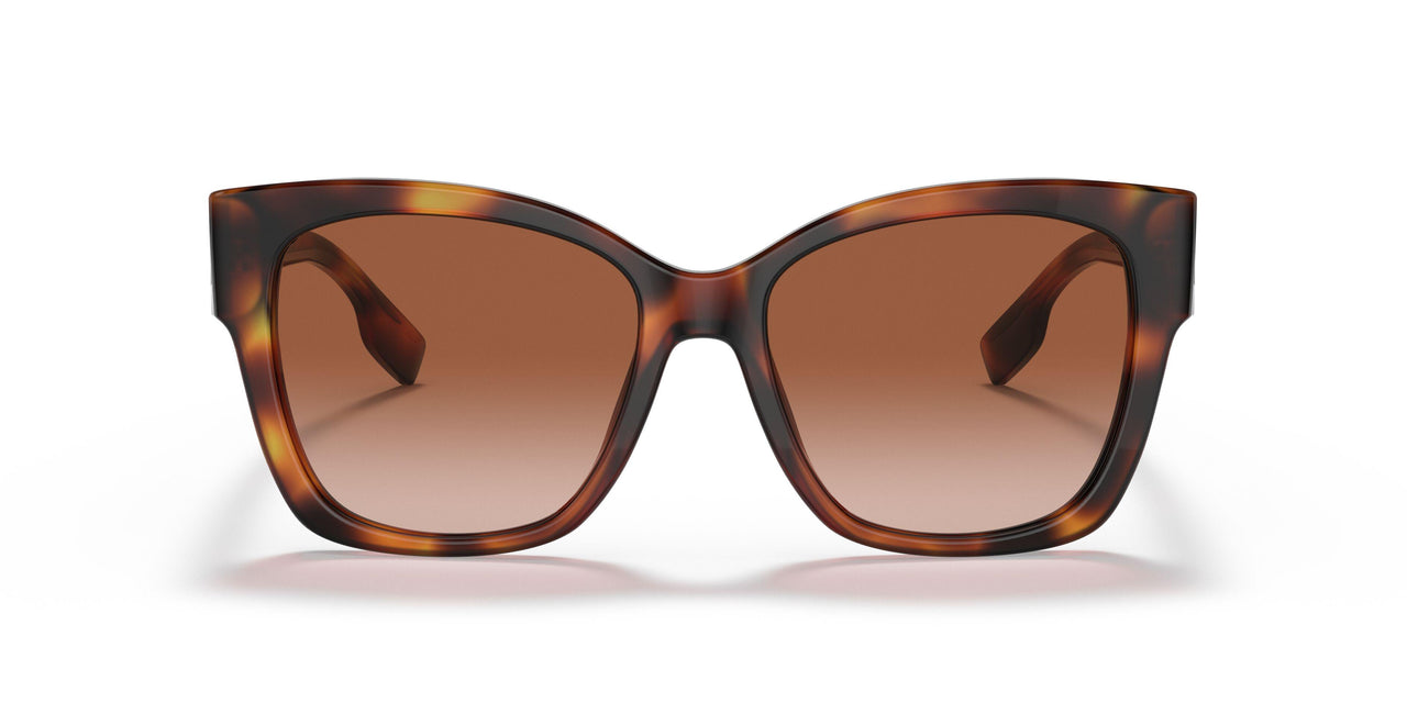 331613 - Havana - Brown Gradient