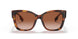 331613 - Havana - Brown Gradient