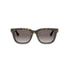 52B - Acetate Shiny Havana - Grey Gradient