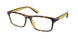 Polo 2274U Eyeglasses