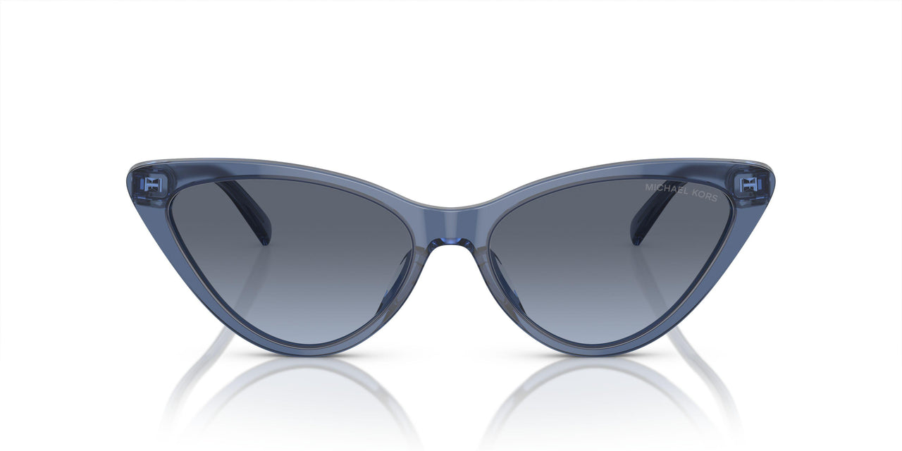 39568F - Blue - Blue Gradient