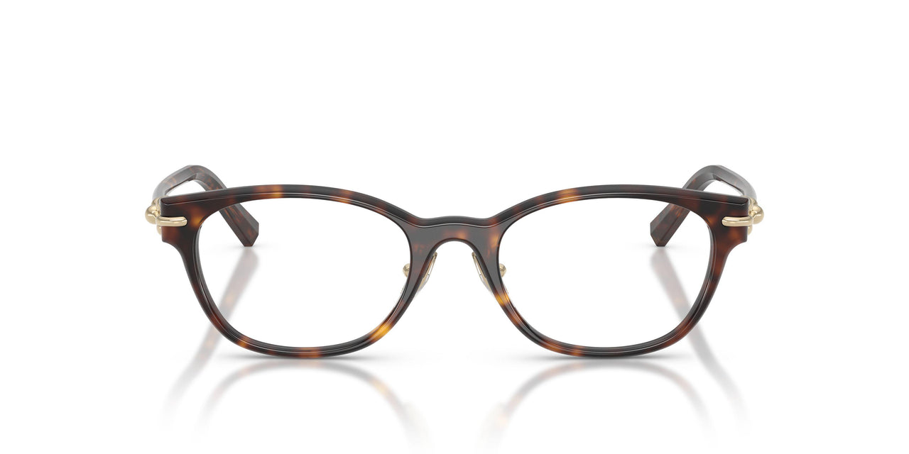 8015 - Tortoise